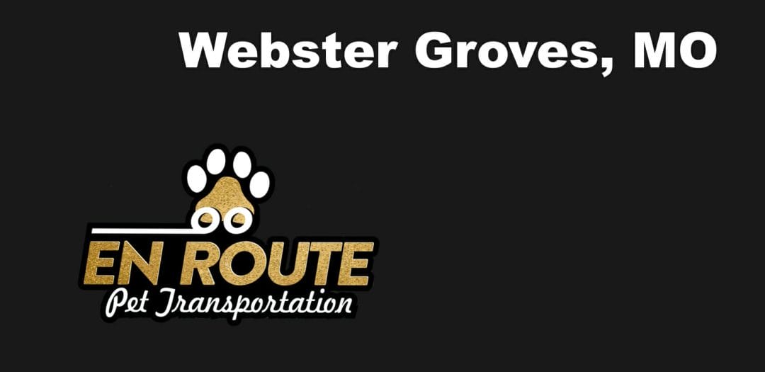 Best VIP private luxury pet ground transportation Webster Groves, MO.
