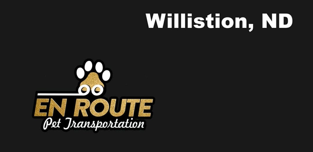 Best VIP private luxury pet ground transportation Williston, ND.