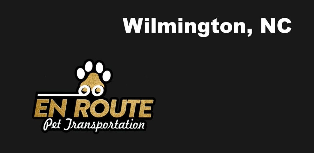 Best VIP private luxury pet ground transportation Wilmington, NC.