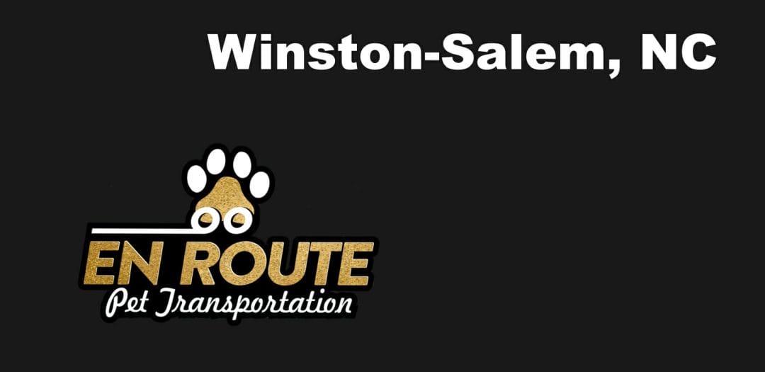 Best VIP private luxury pet ground transportation Winston-Salem, NC.